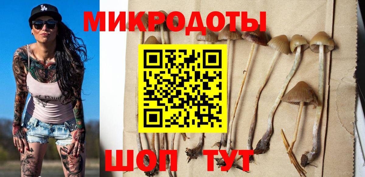 Галлюциногенные грибы прущие грибы  Галлюциногенные грибы прущие грибы  Вход с VPN  Ефремов 
