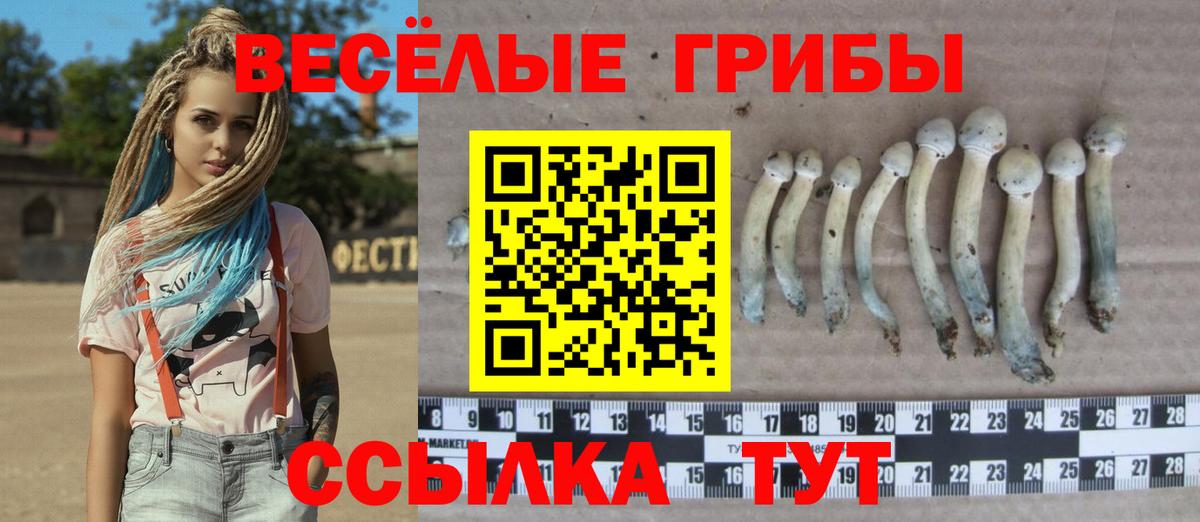Галлюциногенные грибы мицелий Ефремов